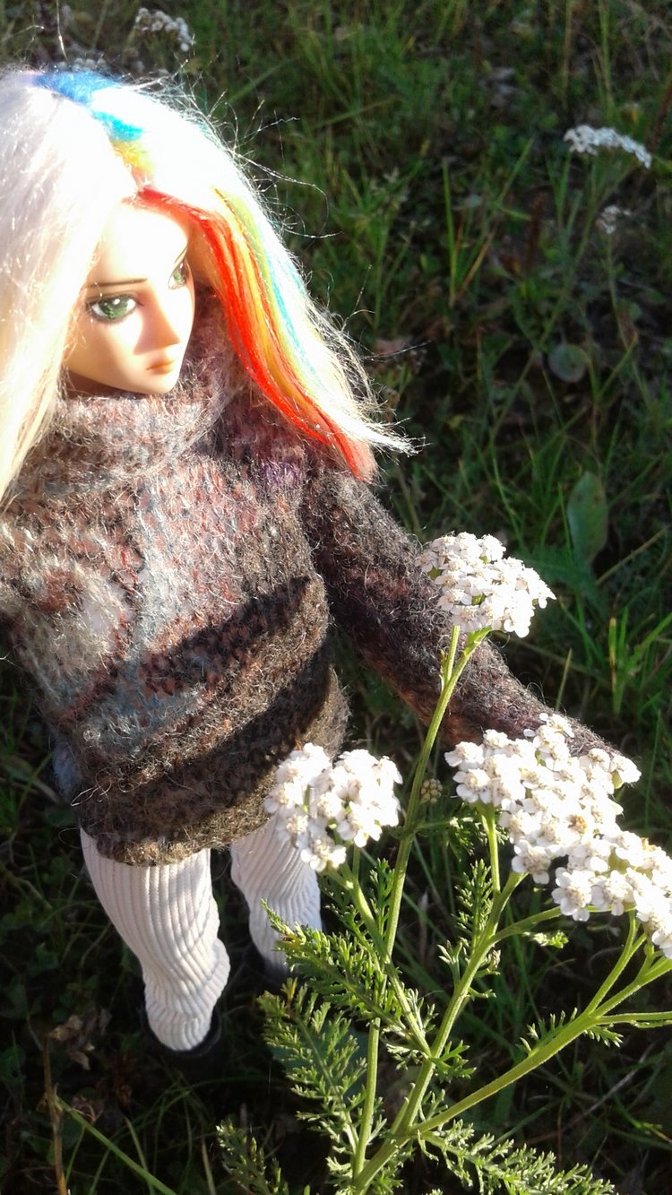 Зимнее солнце. Глава 10. Джаред из семьи Фоксов