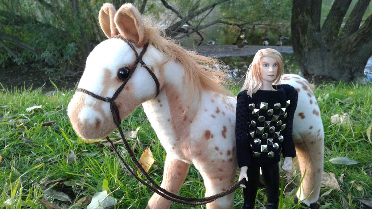 Зимнее солнце. Глава 6. Дом там, где сердце