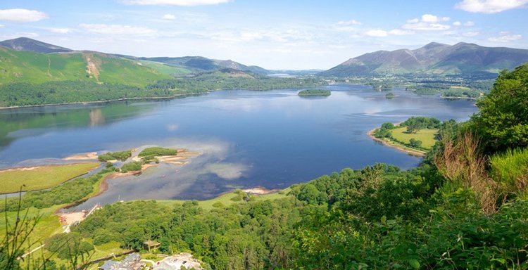 Зимнее солнце. Глава 8. Староста (фото 4)