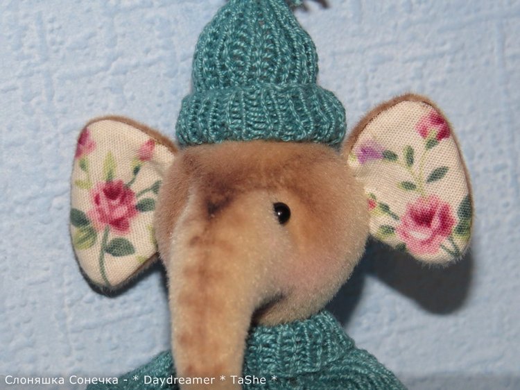 И теперь уже второй слоненок... и снова девочка