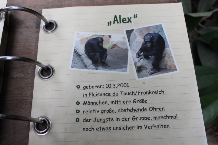 По Германии: зоопарк Лейпцига, часть 3