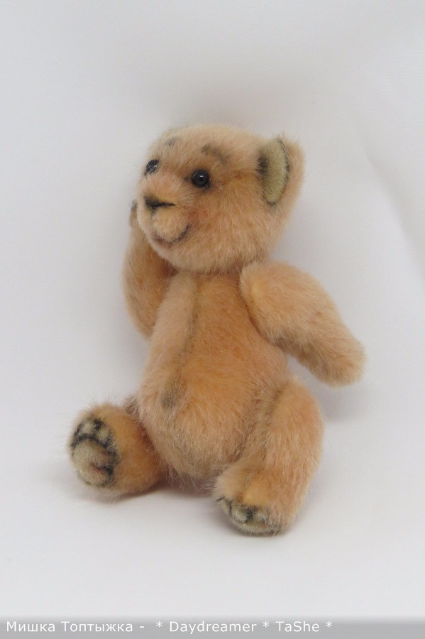 Позитивный мишка по имени Топтыжка (фото 9)