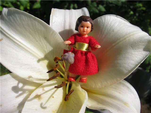 Немецкие куклы-пупсики Ари (ARI)