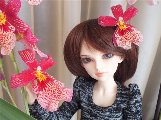 Моя Мишель... Такая разная... Minifee Lishe, Fairyland | Бэйбики Моя Мишель... Такая разная... Minifee Lishe, Fairyland (фото 8)