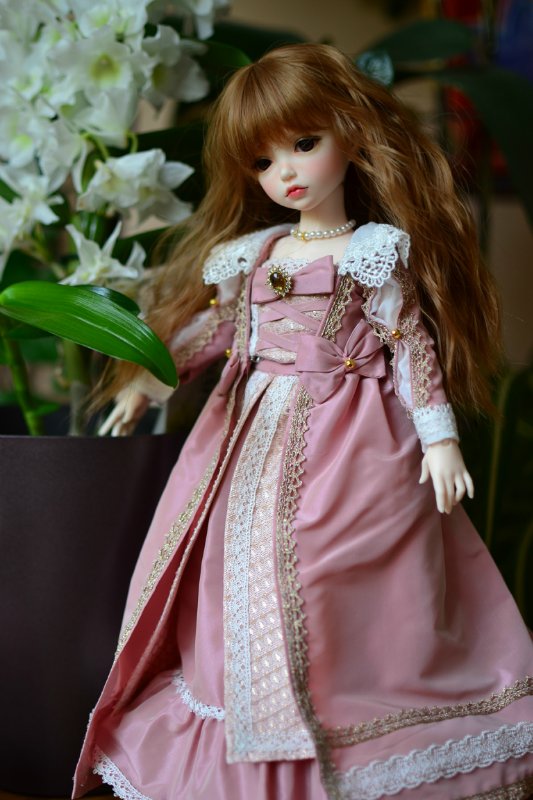 Лонни приехала. BJD Iplehouse | Бэйбики Лонни приехала. BJD Iplehouse