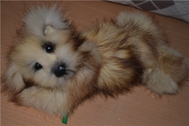 Ура!!! Лешенька приехал — Домашние фото авторских игрушек: Тедди