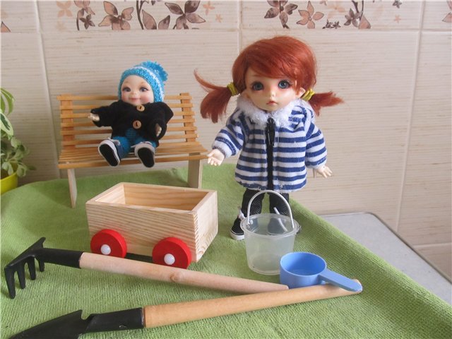 "Мастер-класс" по посадке огорода