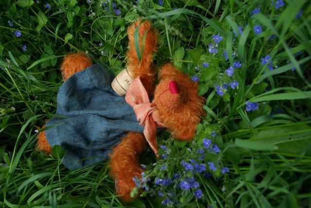 Улыбка Zwergnase - Poldine (фото 2)