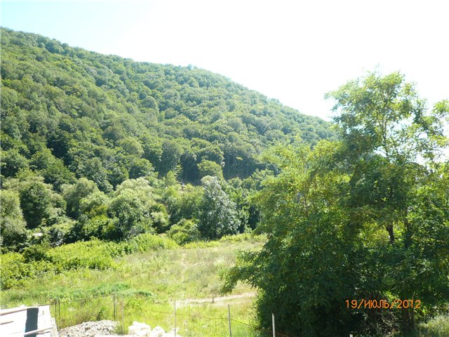 Сосенка Пин. Отпуск — Разные куклы BJD (БЖД): редкие бренды