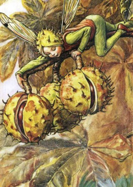 Долгая жизнь цветочных фей от иллюстраций Cicely Mary Barker до кукол Birgitte Frigast