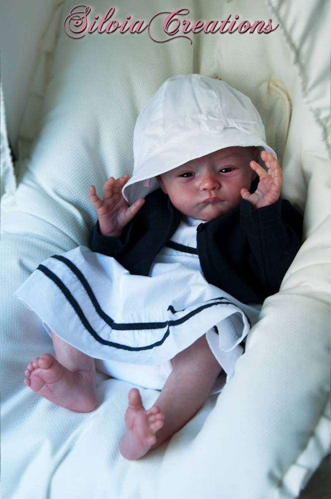 Новый молд Will от Натали Шолль