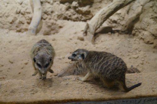 Воронежский океанариум — Туризм и путешествия: фотоотчеты из поездок