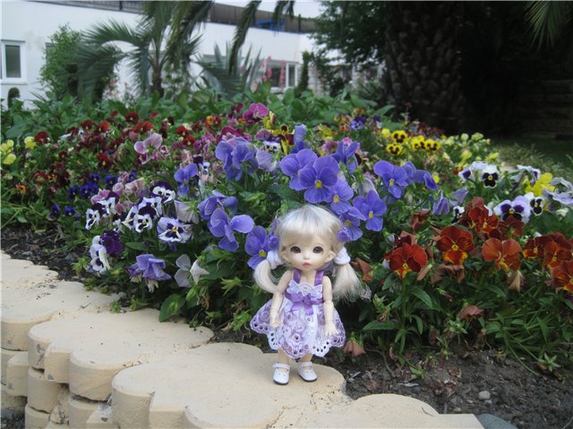 Летний отдых на море БЖДешечки Элис