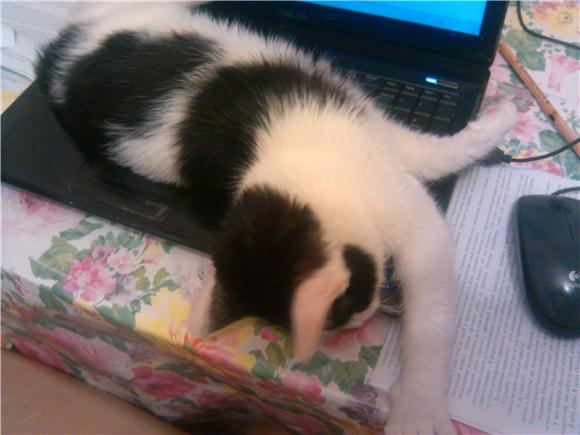 Можно ли в одной семье договориться (фото 3)