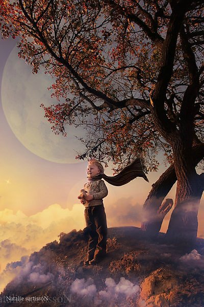 "...тот, кто любит, всегда отличит свою розу...даже с закрытыми глазами..." Последний полет (фото 9)