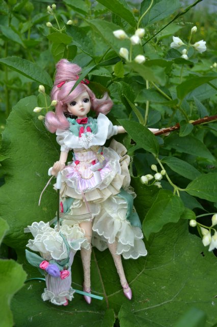 Девушка-пион: джеечка La Rue de Rivoli (J-doll)