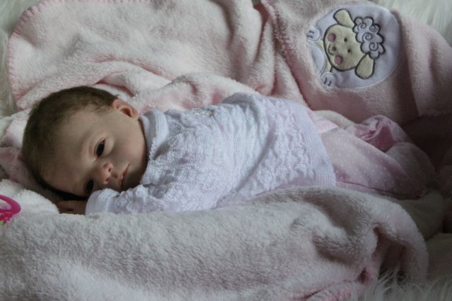 Розана - цветочек, роза... Куколка реборн Виктории Вишни