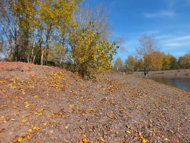 Осень золотая пора. Натали, LUTS (мейк от WOLKOLAK) (фото 5)