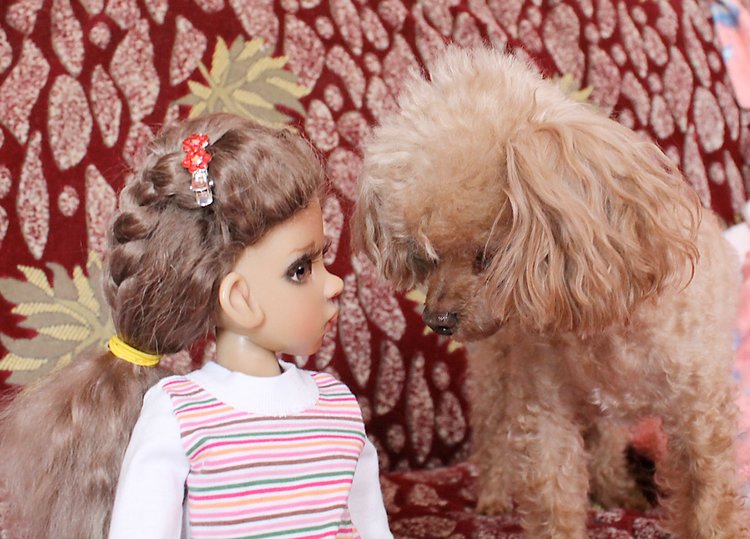 Знакомство Лолы, Kaye Wiggs