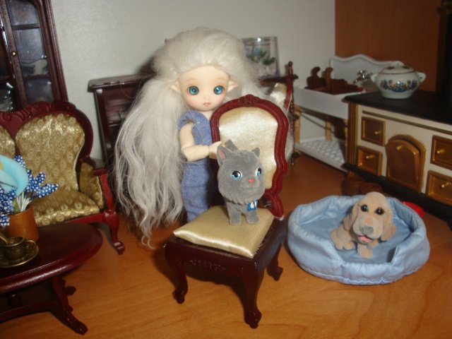 Малышка Боня — Куклы Brownie (Брауни) Felix Doll: Tiny BJD (БЖД) (фото 7)