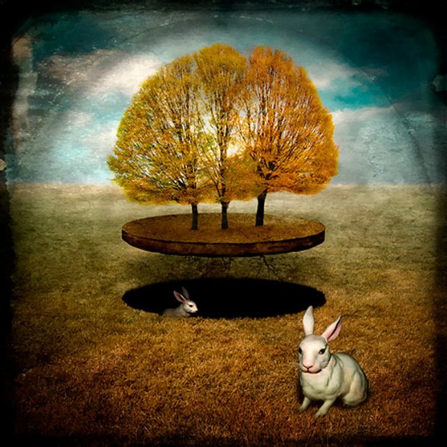 Глубока ли кроличья нора или Хэллоуин в Зазеркалье