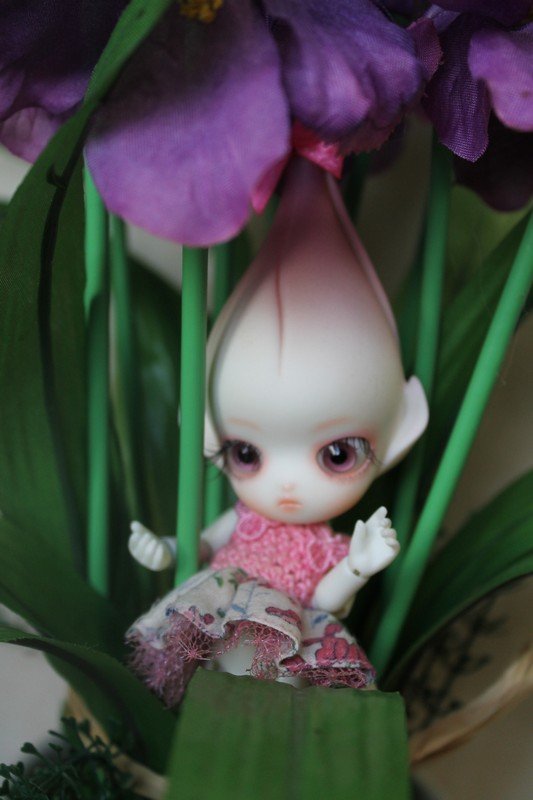 Последний Цветочек-Do, в моей Доллзоновской клумбе (фото 8)