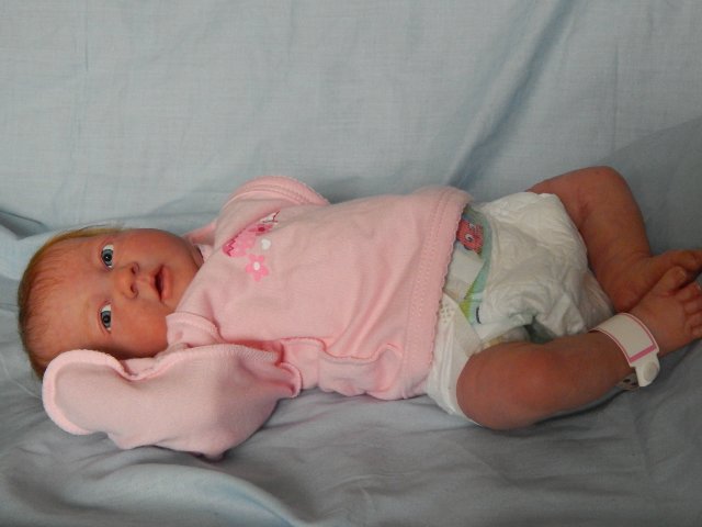 Реборн Рыжик. Моя переделочка из куклы беренжер (фото 9)