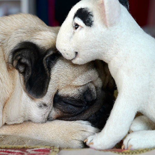 Булька ищет друзей. Игрушки валянием своими руками (фото 8)