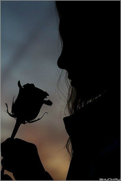 Женщины похожи на людей и живут рядом с ними или Слаще жизни и горше смерти. Предпраздничная болталка