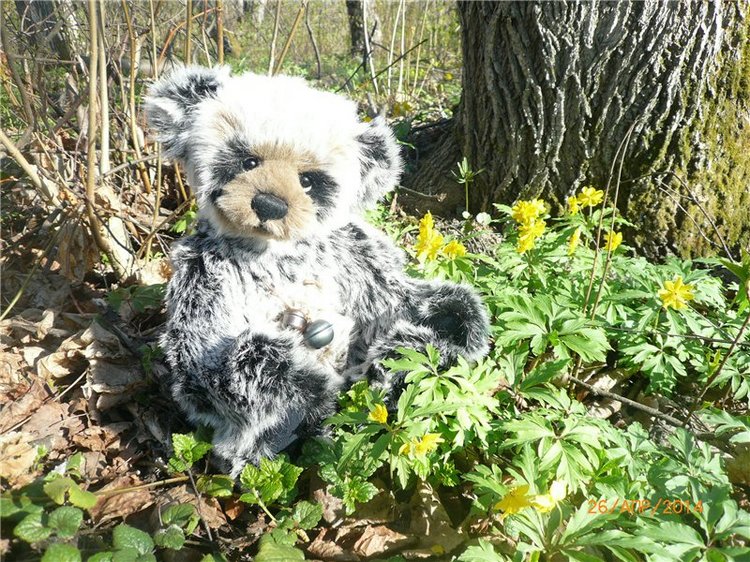 Про Мишку. Коллекционный Мишка Панда от Charlie Bears (фото 2)