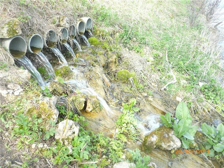 Про Мишку. Коллекционный Мишка Панда от Charlie Bears (фото 7)