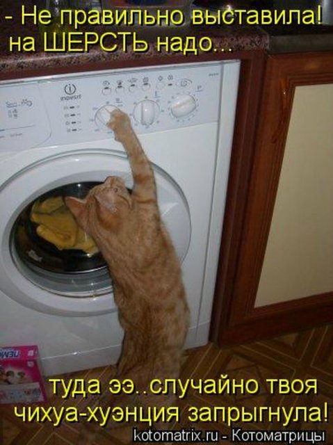 Море позитива) Для поднятия настроения (осторожно! много фото)))) | Бэйбики Море позитива) Для поднятия настроения (осторожно! много фото))))