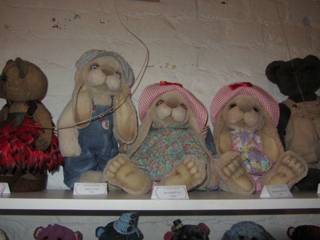 Медвежий праздник в Санкт-Петербурге. Часть 1