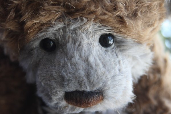 Мой Паркин (Parkin) от Charlie Bears (фото 3)