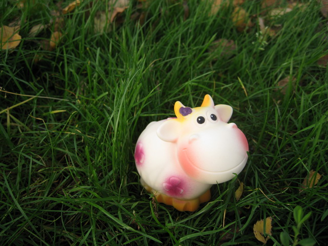 Коллекция резиновых игрушек ПВХ | Бэйбики Коллекция резиновых игрушек ПВХ (фото 3)