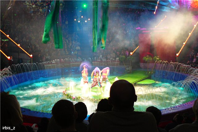 Вот так чудеса или как Ариэль в Большой Московский Цирк ходила. PukiFee Ante Ариэтти, PukiFee Bonnie Ариэль