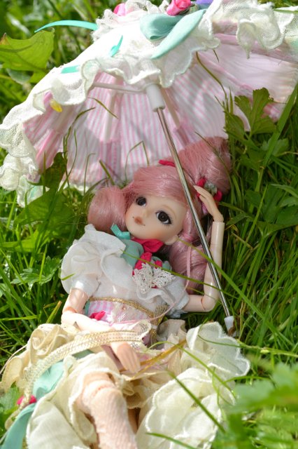 Девушка-пион: джеечка La Rue de Rivoli (J-doll)