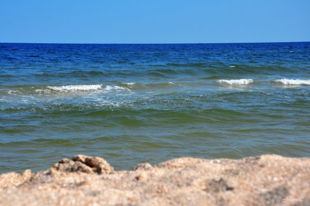 А...МОРЭ...МОРЭ...!!! Littlefee Bisou (Герда) на отдыхе (фото 9)