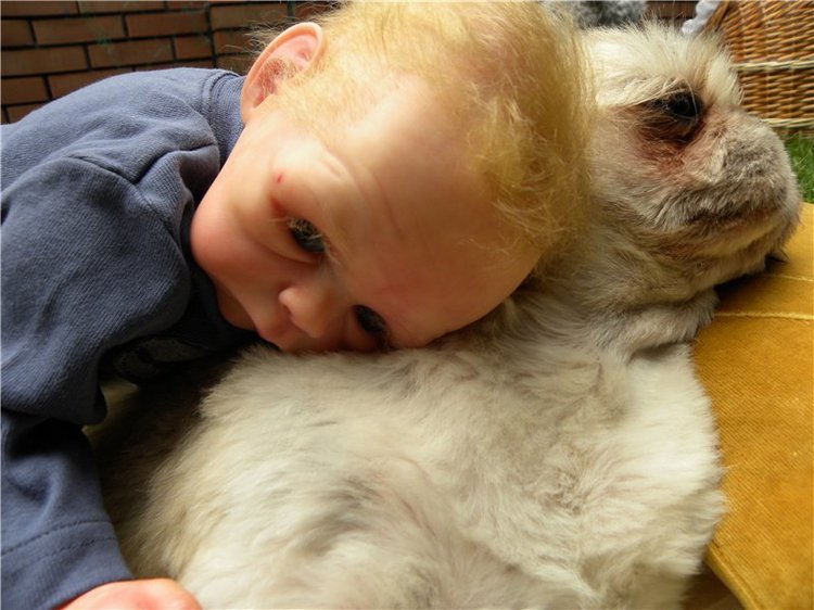 Мой не запланированный Лягушонок реборн