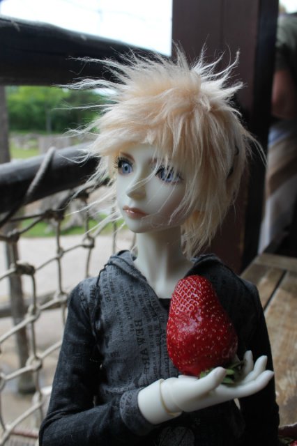 Сказка о Мишеле, BJD часть 2