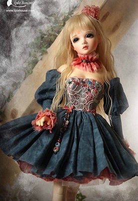 Новая! Коллективка. Для кукол BJD! На cайте IPLEHOUSE акция с 20 ноября по 3 января. Санкт-Петербург и иногородние