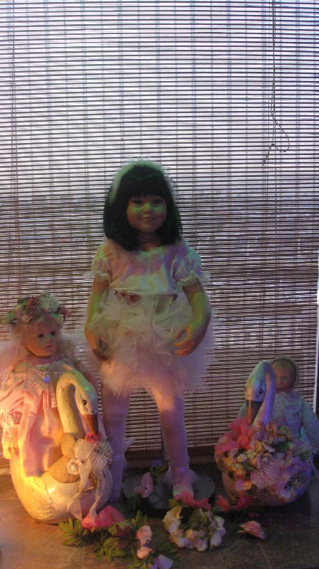 Головокружительные, обворожительные балеринки-лебеди! Адриана от Susan Lippl и две ее сестренки от Lee Middleton Часть первая