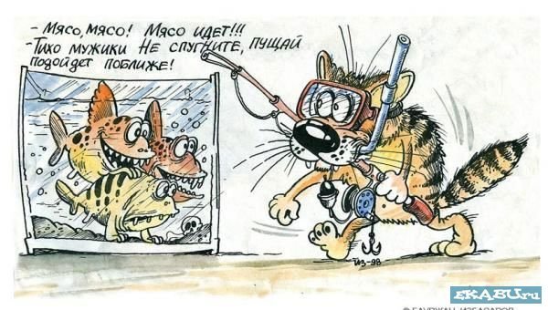 Кошачий позитив — Интересное и необычное: фотоподборки