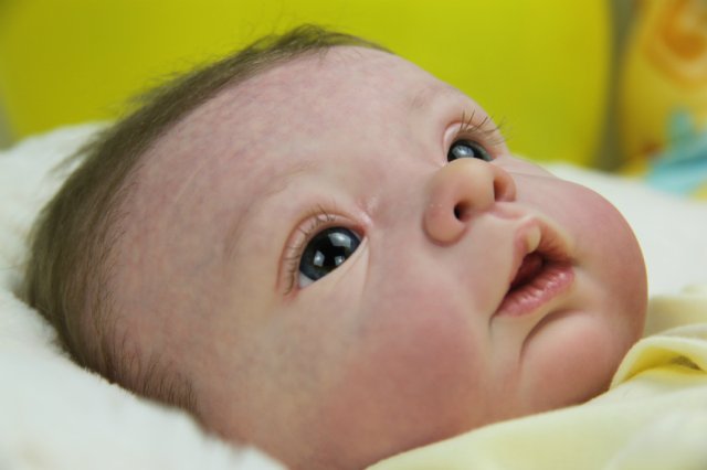 Софийкин! Кукленок реборн Виктории Вишни