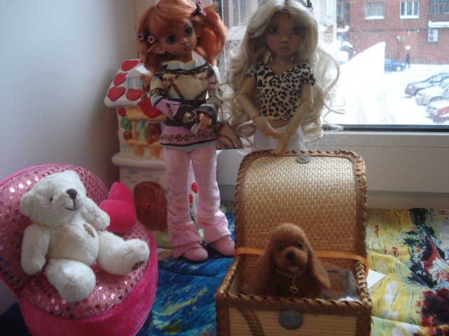 Ура! Мне подарили собаку! Лили и Тилли от Kaye Wiggs обзавелись питомцем (фото 3)