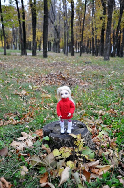 Осенняя прогулка... Littlefee Bisou от Fairyland