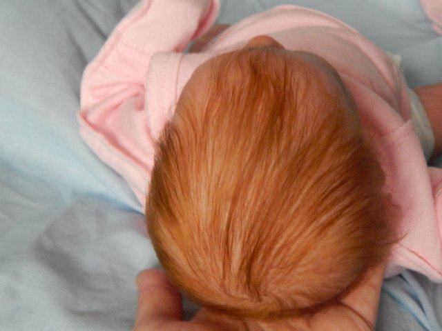 Реборн Рыжик. Моя переделочка из куклы беренжер (фото 7)