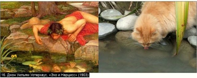 «Мяу» особого назначения или Весенняя кошкотерапия