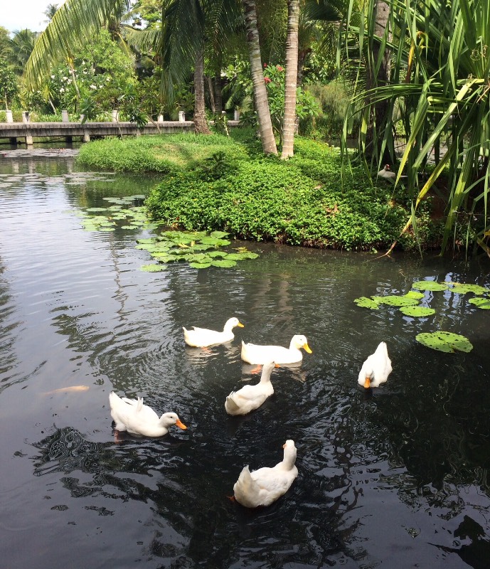 Груня-путешественница. Как маленькая девочка осваивала Таиланд. Вторая часть (фото 6)