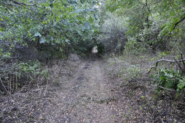 Плюшечки - ватрушечки. Куклы Heidi Plusczok
